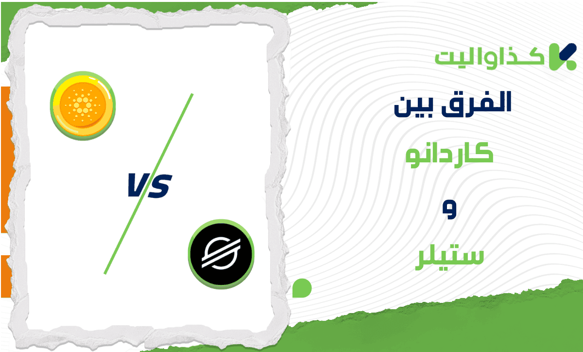 الفرق بين كاردانو وستيلر: أيهما يناسب احتياجاتك؟