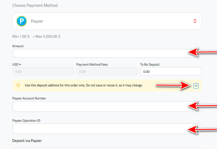 How to Receive USD via Payeer with Kazawallet