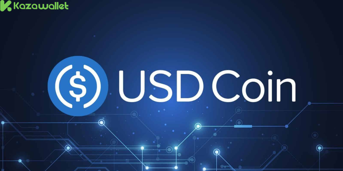 What is USDC?