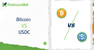 Bitcoin vs USDC: A Comparison of Risks and Stability