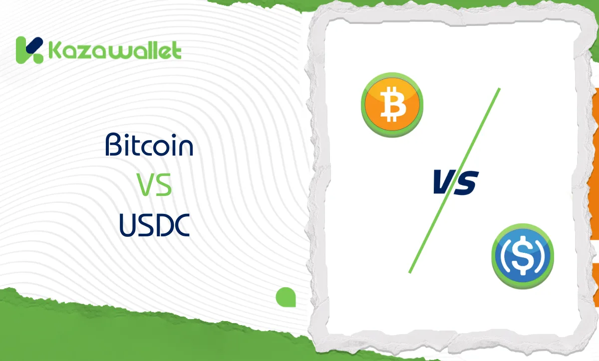 Bitcoin vs USDC: A Comparison of Risks and Stability