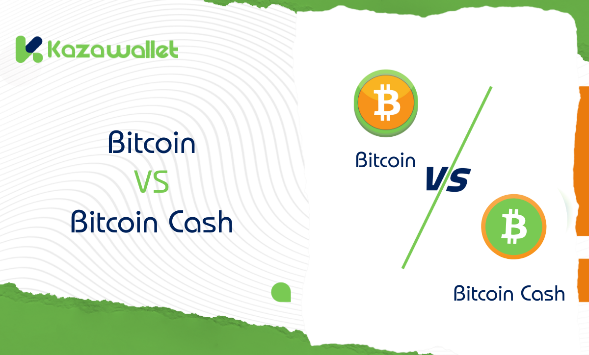 Bitcoin vs Bitcoin Cash: Which is Better for Investment?