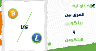 الفرق بين البيتكوين واللايتكوين: أيهما أفضل للإستثمار؟