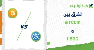 الفرق بين Bitcoin و USDC: مقارنة متعمقة للمخاطر والاستقرار