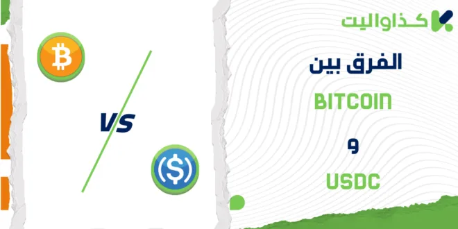 الفرق بين Bitcoin و USDC: مقارنة متعمقة للمخاطر والاستقرار