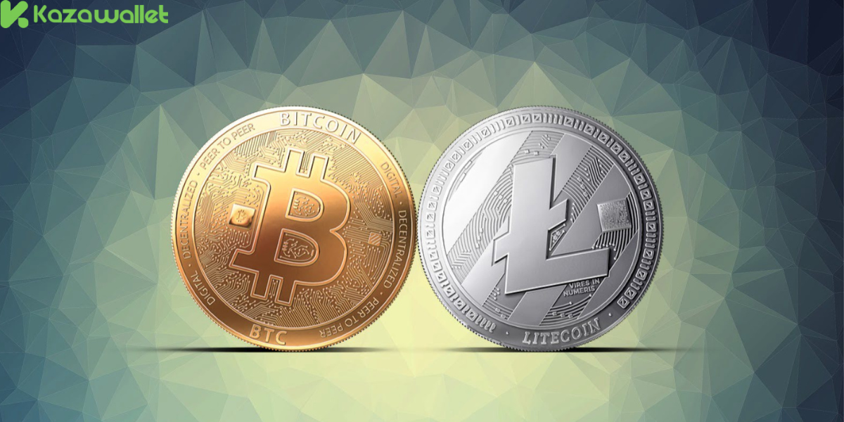 Risks Associated with Bitcoin and Litecoin