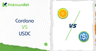 Cardano vs USDC: A Comparison of Risks and Stability