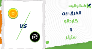 الفرق بين كاردانو وستيلر: أيهما يناسب احتياجاتك؟