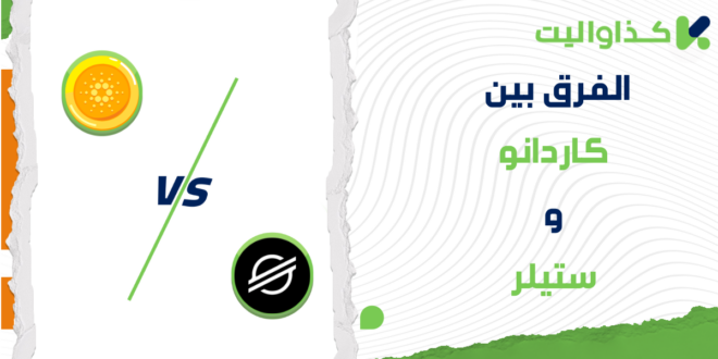 الفرق بين كاردانو وستيلر: أيهما يناسب احتياجاتك؟