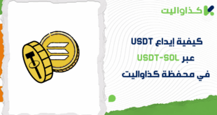 كيفية إيداع USDT عبر USDT-SOL في محفظة كذاواليت