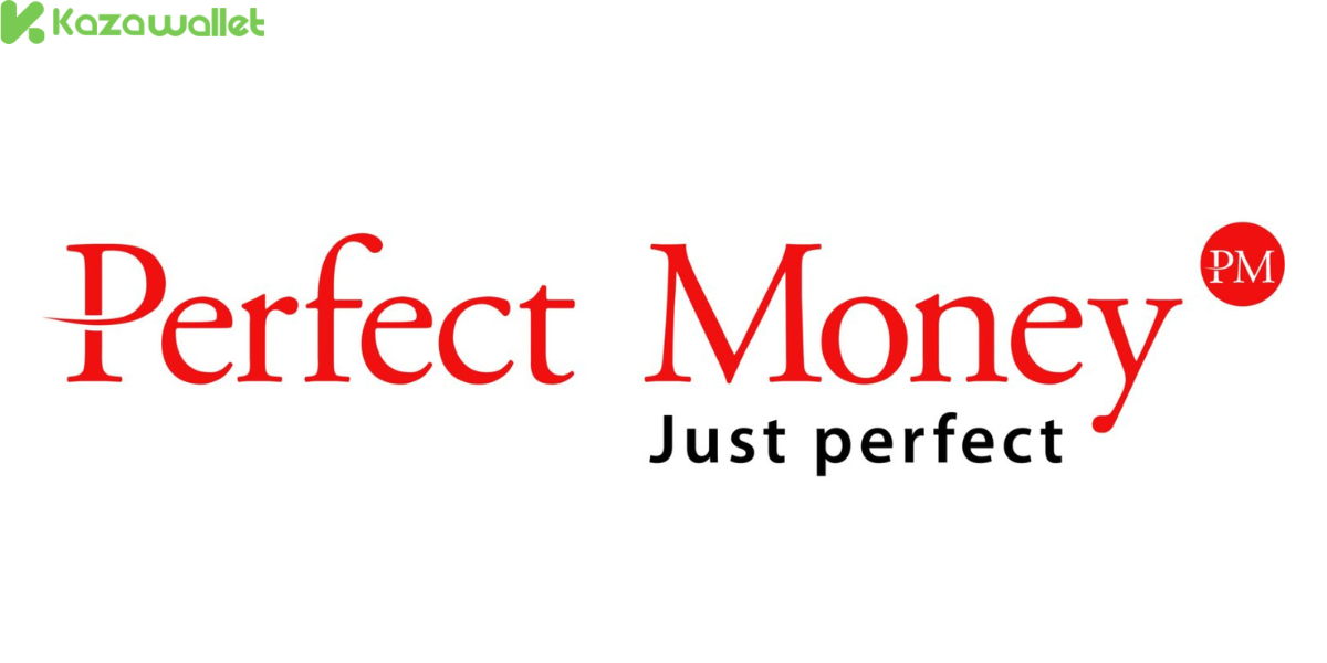 What is Perfect Money?