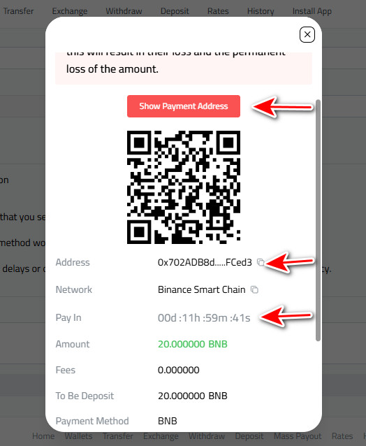 Steps to Deposit Binance Coin into Kazawallet