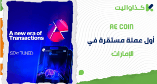 عملة AE Coin: أداة التمكين المالي في الإمارات العربية المتحدة
