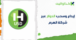 دليلك الكامل لإيداع وسحب الدولار عبر شركة الهرم في كذاواليت
