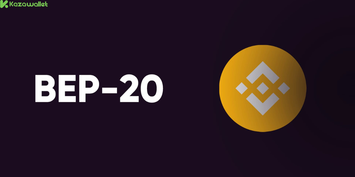 What is USDC on the BEP20 Network?