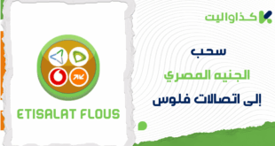 خطوات سحب الجنيه المصري إلى اتصالات فلوس