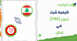 خطوات شراء ترون في لبنان