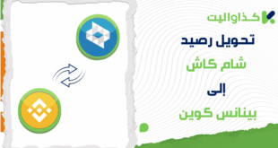 طريقة تحويل رصيد شام كاش إلى بينانس كوين (BNB)