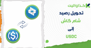 طريقة تحويل رصيد شام كاش إلى USDC