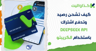 كيف تشحن رصيد وتدفع اشتراك DeepSeek API باستخدام رصيدك من الكريبتو