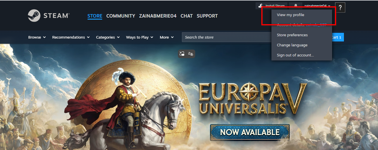 شحن محفظة ستيم