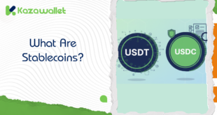 What Are Stablecoins? And How to Protect Your Money from Market Volatility