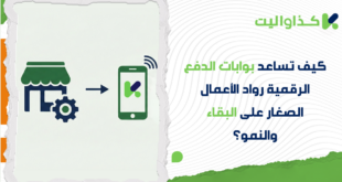 كيف تساعد بوابات الدفع الرقمية رواد الأعمال الصغار على البقاء والنمو؟