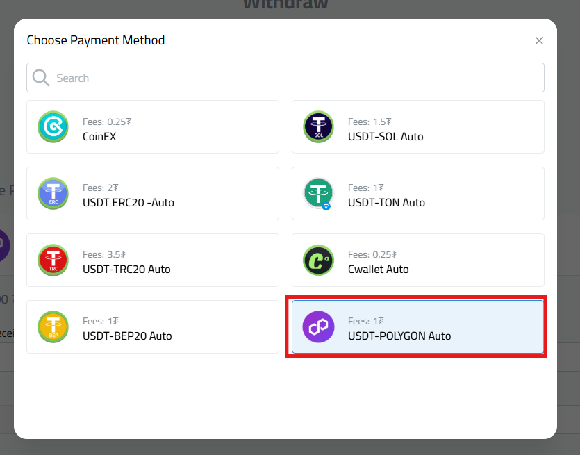 select "USDT-POLYGON Instant"