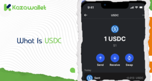 What is USDC