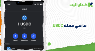 ما هي عملة USDC