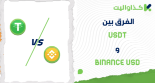 الفرق بين USDT و Binance USD: أيّ عملة تحمل مخاطر أقل؟