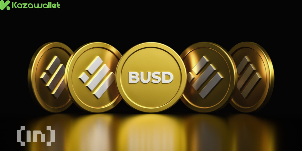 ما هي عملة Binance USD